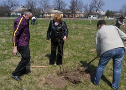 Actions “Clean Environment” and “Plant a Tree”